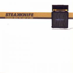 Steakknife : Plugged into the Amp of God